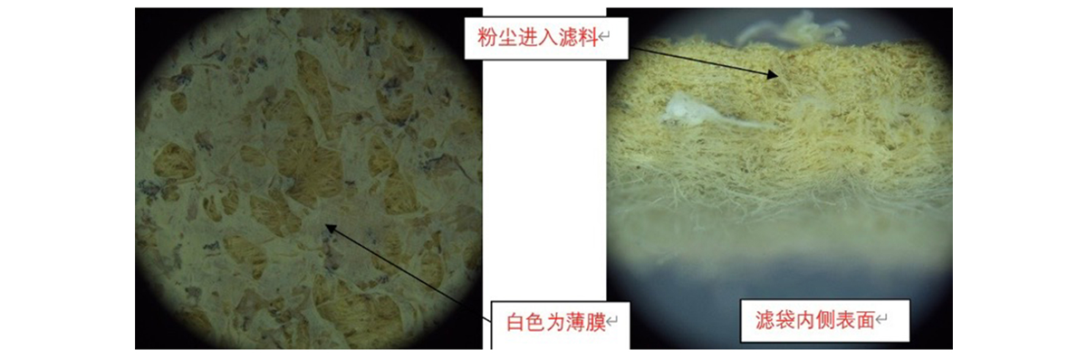 戈尔技术团队在显微镜下观察之前的滤膜表面及滤袋截面发现已有锂电材料粉尘进入情况